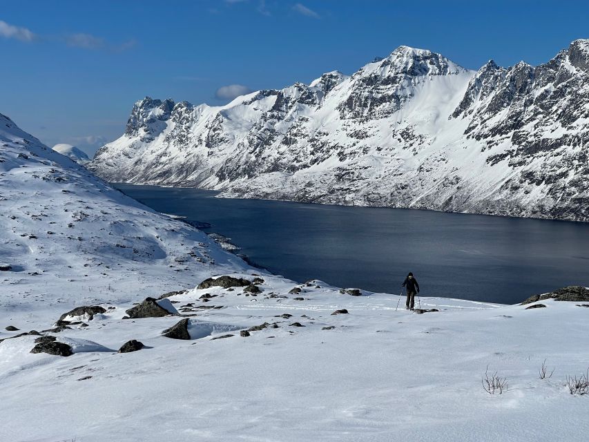 Tromso: Scenic & Eco-Friendly Snowshoeing Tour - Who should book this snowshoeing tour, and who should skip it