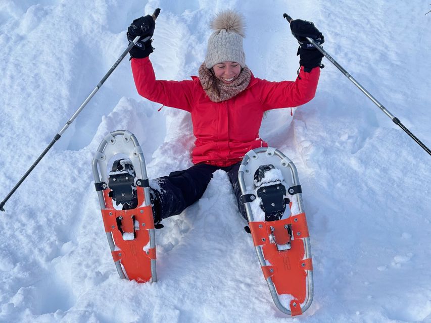 Tromso: Scenic & Eco-Friendly Snowshoeing Tour - The Tromsø pickup and the drive through fjords, mountains, and history