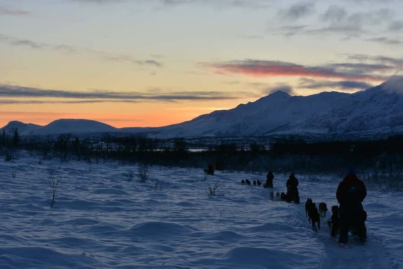 Tromsø: Self-Drive Husky Dog Sledding Adventure - Practical Tips That Make the Tour Smoother