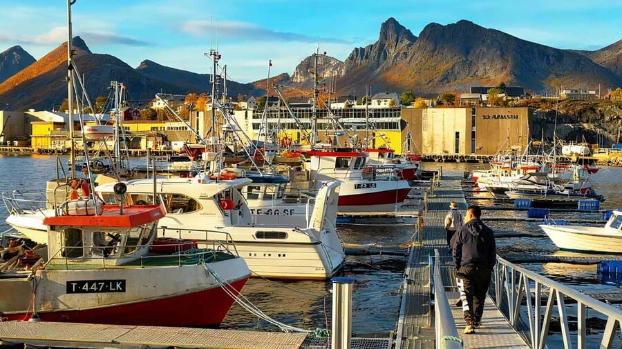 Tromsø: Senja Fjords & Coast Day Tour with FREE Photos - Ersfjord Beach: White Sand Contrast With Arctic Power