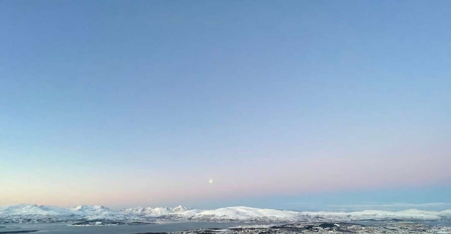Tromso: Sightseeing Cruise by Catamaran with Snacks & Drinks - Wildlife spotting around the isle of Tromsø, what you can realistically hope for