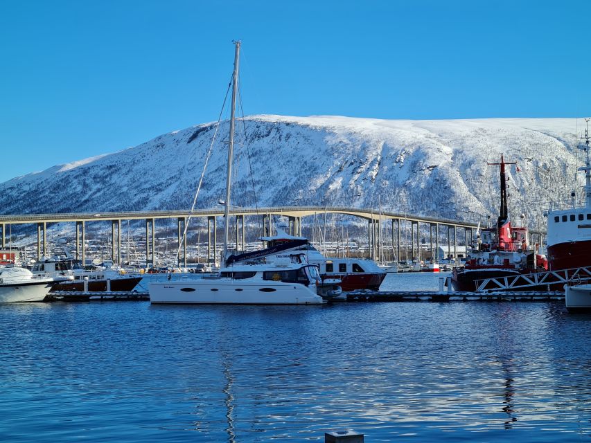 Tromso: Sightseeing Cruise by Catamaran with Snacks & Drinks - Small-group comfort and the included extras that save you effort