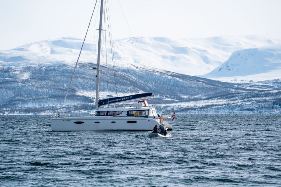 Tromso: Sightseeing Cruise by Catamaran with Snacks & Drinks - Meeting point at Scandic Ishavshotell, and how to plan your timing