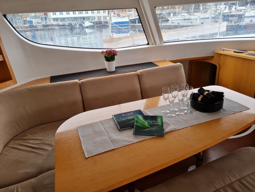 Tromso: Sightseeing Cruise by Catamaran with Snacks & Drinks - Weather, motion, and when to be cautious