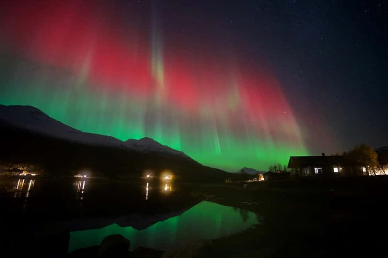 Tromsø: Small-Group Northern Lights Tour by Minibus - Why a small-group minibus hunt beats the usual quick stop