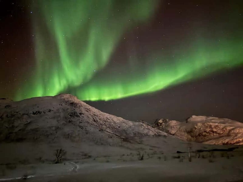 Tromsø: Small-Group Northern Lights Tour by Minibus - Thermal suits, bonfires, and the warm meal that makes waiting possible