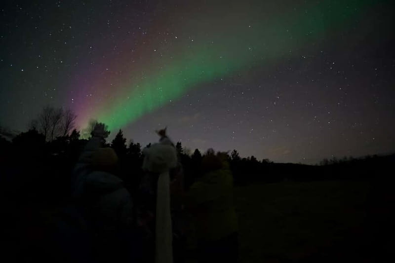 Tromsø: Small-Group Northern Lights Tour by Minibus - Comfort, group size, and hotel drop-off that keeps logistics simple