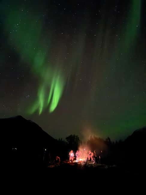 Tromsø: Small-Group Northern Lights Tour by Minibus - Price value at $251, plus the 50% next-trip discount if you miss it