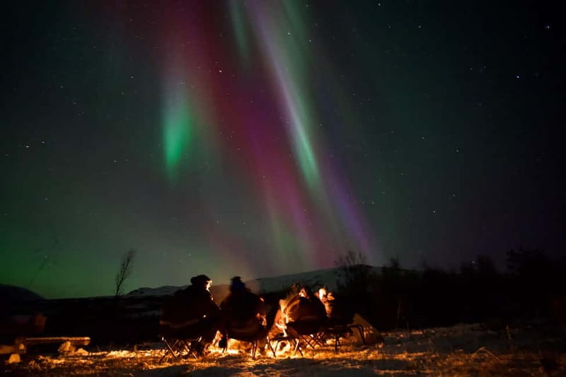 Tromsø: Small-Group Northern Lights Tour by Minibus - Meet at Scandic Ishavshotel, then expect a 5 to 8 hour night