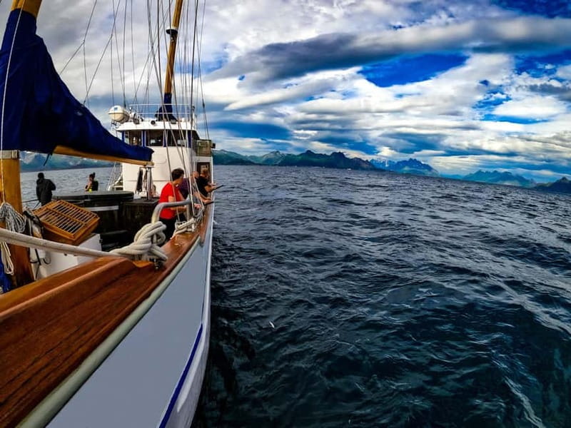 Tromsø: Small Group Sea-to-Table Fishing Experience - Why Tromsø Sea-to-Table Fishing Feels Like Real Norway