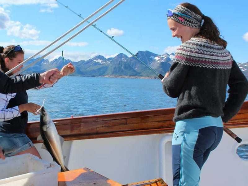 Tromsø: Small Group Sea-to-Table Fishing Experience - The Morning Start and Cruise North: Kvalsundet or Reinøya