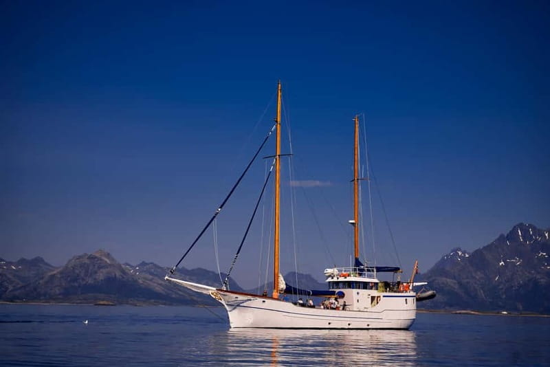 Tromsø: Small Group Sea-to-Table Fishing Experience - Hands-On Fishing in Arctic Waters: Cast, Jig, Reel