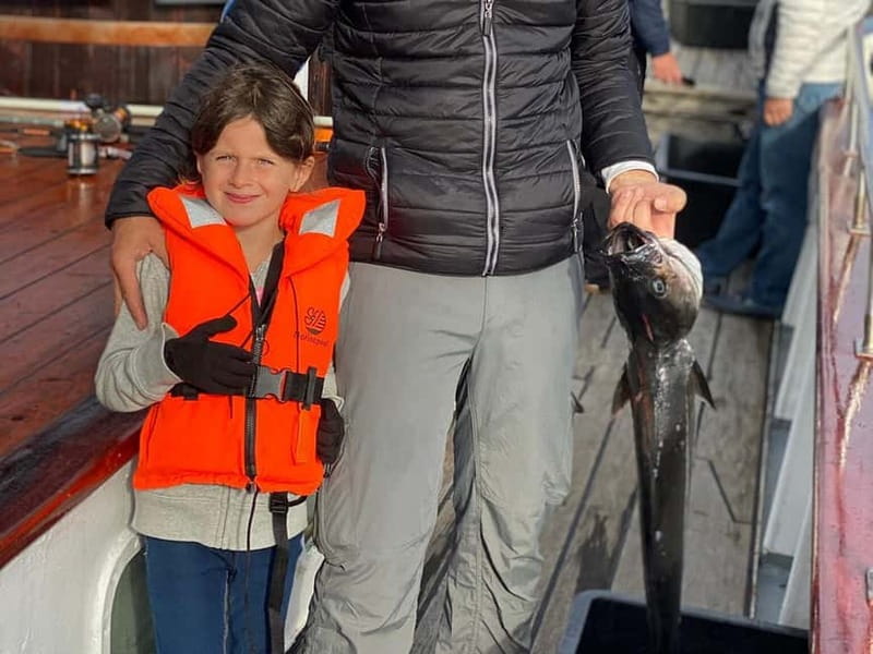 Tromsø: Small Group Sea-to-Table Fishing Experience - Price and Value: Why $309 Can Feel Fair