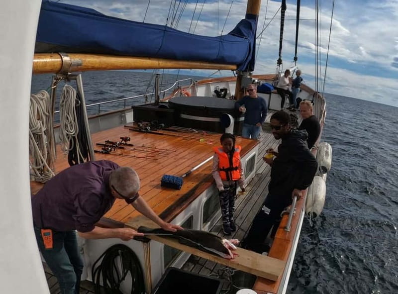Tromsø: Small Group Sea-to-Table Fishing Experience - Getting Aboard Stella Oceana: More Space Than You Expect