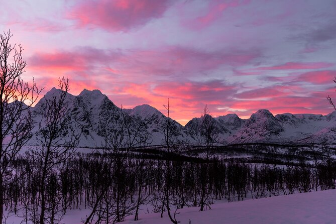 Tromso-Snowshoeing Excursion to Viewpoint - The 11:00 Radisson Blu pickup, gear handoff, and the early-course briefing