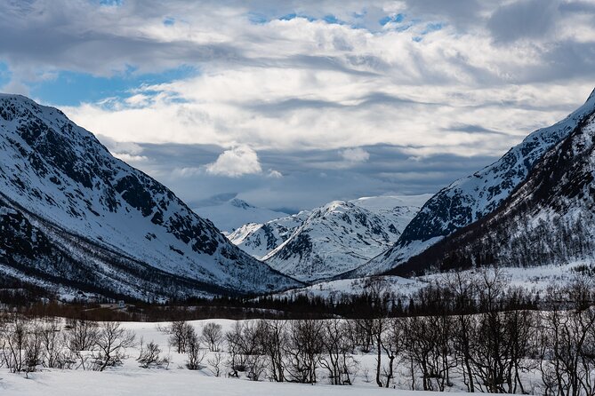 Tromso-Snowshoeing Excursion to Viewpoint - Snowshoeing pace, moderate fitness, and what to do on the snow