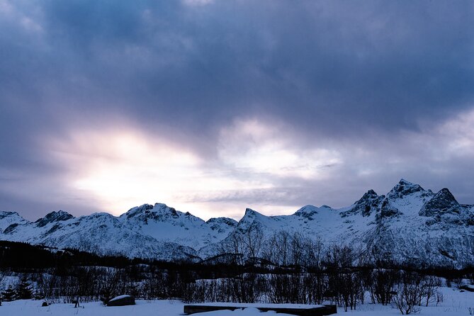 Tromso-Snowshoeing Excursion to Viewpoint - Price, what you get, and how to judge value in Tromso winter