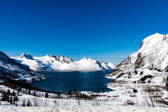 Tromso-Snowshoeing Excursion to Viewpoint - The 30-minute drive and the viewpoint goal: city east, fjord west