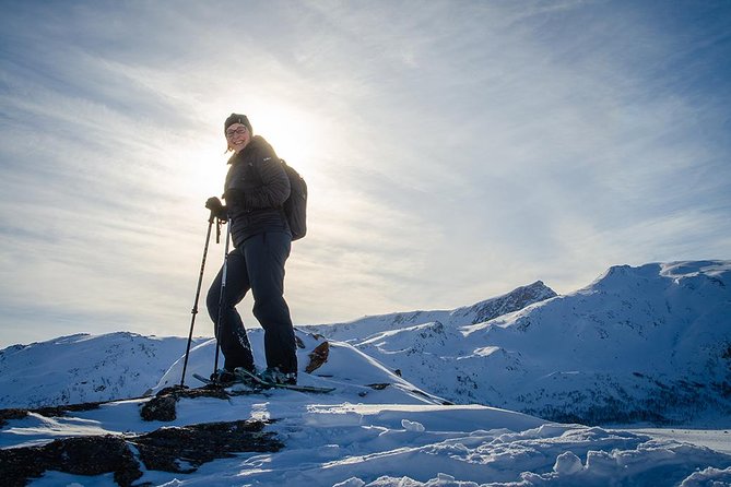 Tromso Snowshoeing - Valley, Fjord Views, Wildlife, Meal & Pickup - Wildlife spotting in the Arctic, with realistic expectations