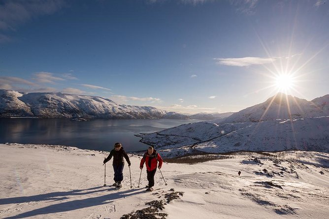 Tromso Snowshoeing - Valley, Fjord Views, Wildlife, Meal & Pickup - Lunch, coffee, and the little details that make it feel worth it