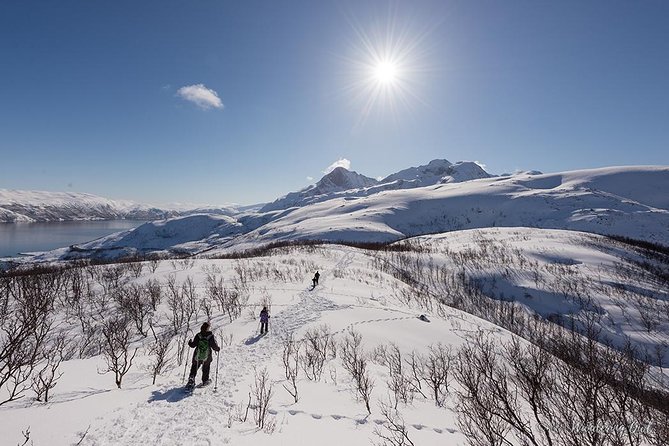 Tromso Snowshoeing - Valley, Fjord Views, Wildlife, Meal & Pickup - Gear, shoe fit, and how hard the hike feels day to day
