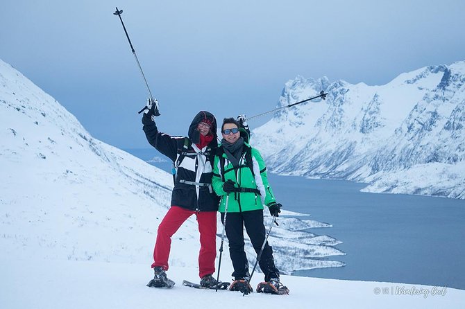 Tromso Snowshoeing - Valley, Fjord Views, Wildlife, Meal & Pickup - What you’ll likely see in Tromsø’s Arctic air