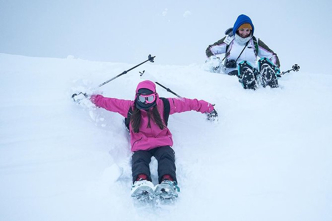 Tromso Snowshoeing - Valley, Fjord Views, Wildlife, Meal & Pickup - The 4.5-hour flow, and what each part is really for