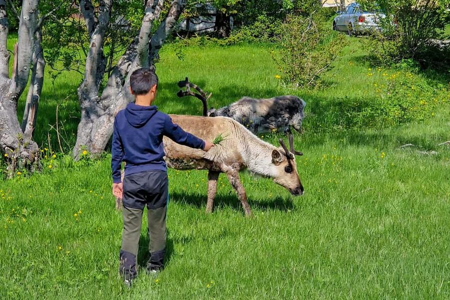 Tromsø: Sommaroy Fjord Tour with Lunch Option - Key Things You’ll Notice on This Sommarøy Fjord Tour