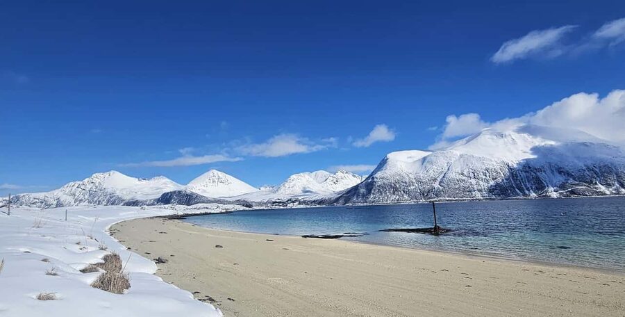 Tromsø: Sommerøya and Kvaløya Arctic Fjords Tour with Lunch - Getting There From Tromsø: Minivan Comfort and Wildlife-Spotting Windows