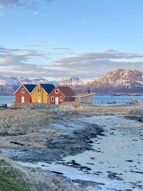 Tromsø: Sommerøya and Kvaløya Arctic Fjords Tour with Lunch - Lunch in a Warm Spot: What You Actually Eat and Why It Matters