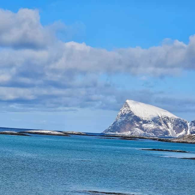 Tromsø: Sommerøya and Kvaløya Arctic Fjords Tour with Lunch - Who Should Book This, and Who Might Want a Different Plan