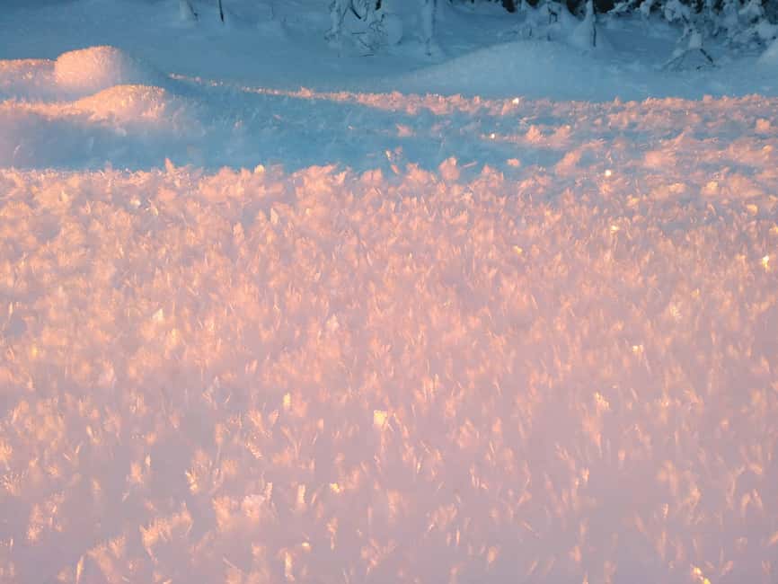 Tromsø Street to Wilderness: Guided Snowshoe Hike - The Mid-Hike Break: Lefse and a Warm Drink in the Cold