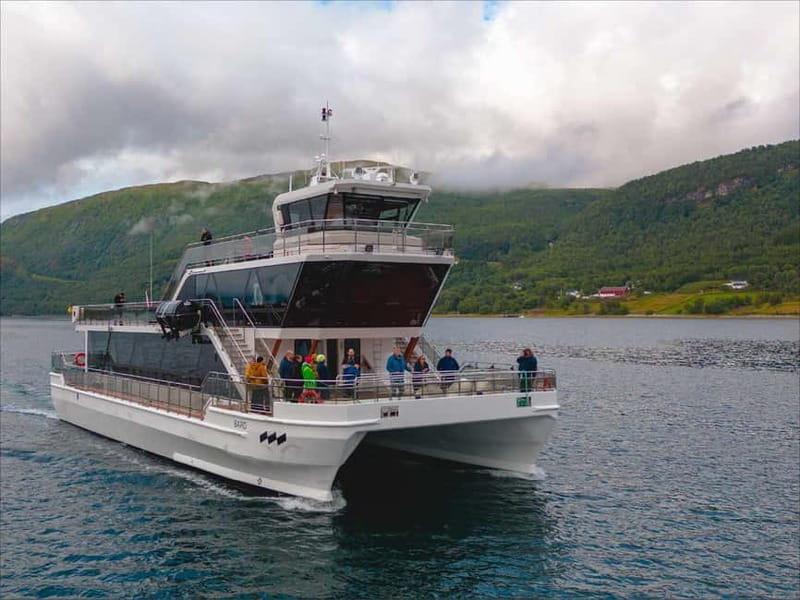 Tromsø: Summer Arctic Light Cruise with a Guide - Gåsvær and Kvaløyvågen: the Kvaløya coast you came for