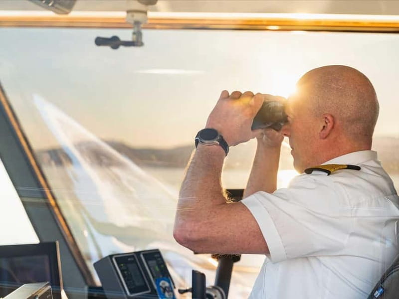Tromsø: Summer Arctic Light Cruise with a Guide - Puffins and other Arctic wildlife: what you can aim for