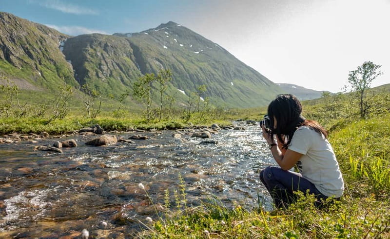Tromsø: Summer Day Hike in the Wilderness - Wildlife spotting and Arctic plants, what to watch for on the trail