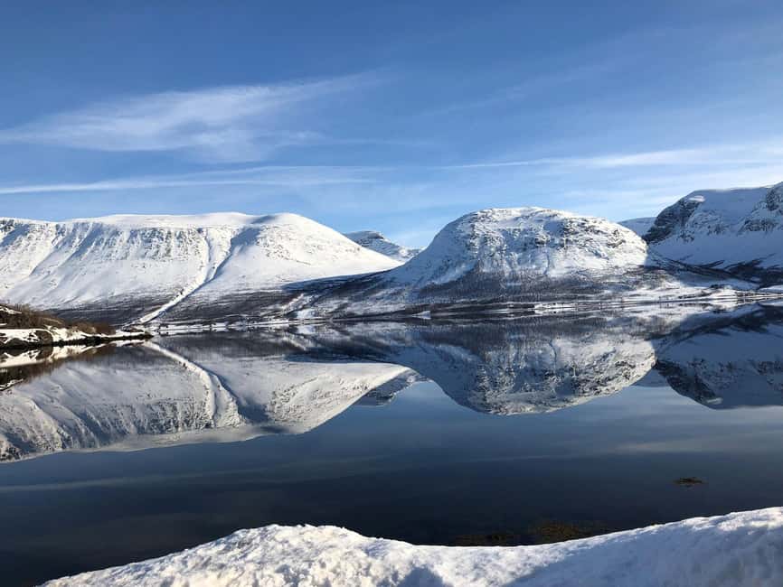 Tromsø Whale Safari with MS Gabriele - Second chance guarantee: what it means when whales do not show