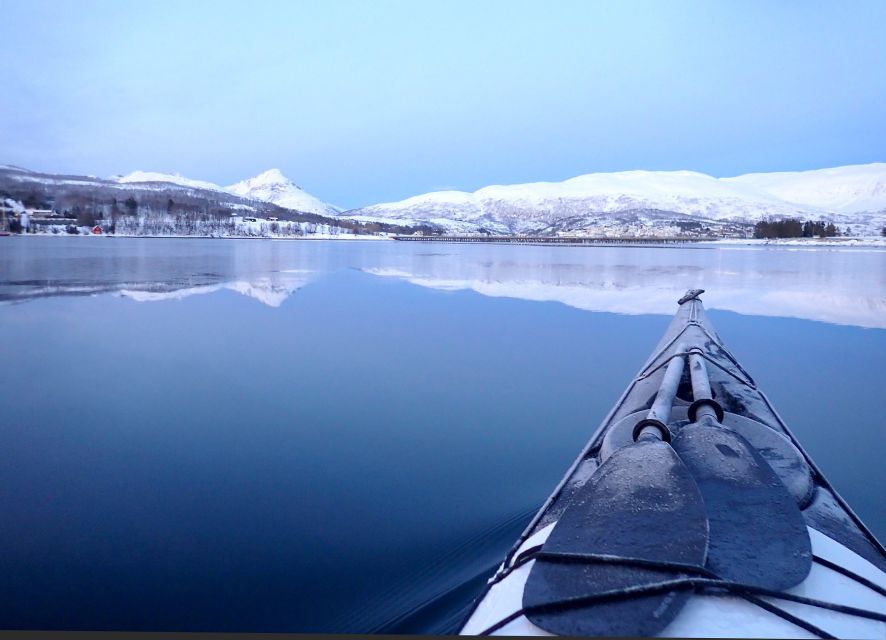 Tromsø: Winter Sea Kayaking Tour with Wildlife Sightings - Key moments to watch for