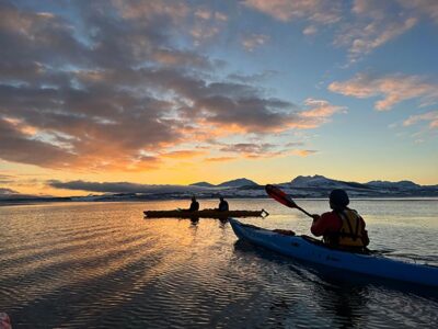 Winter Sea Kayaking Tour with Wildlife Sightings