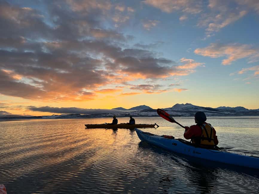 Tromsø: Winter Sea Kayaking Tour with Wildlife Sightings - Kayaking basics for beginners: what you learn and what you don’t