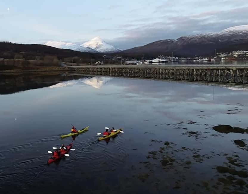 Tromsø: Winter Sea Kayaking Tour with Wildlife Sightings - Transfers from Tromsø or Sommarøy Arctic Hotel: saving you time and hassle