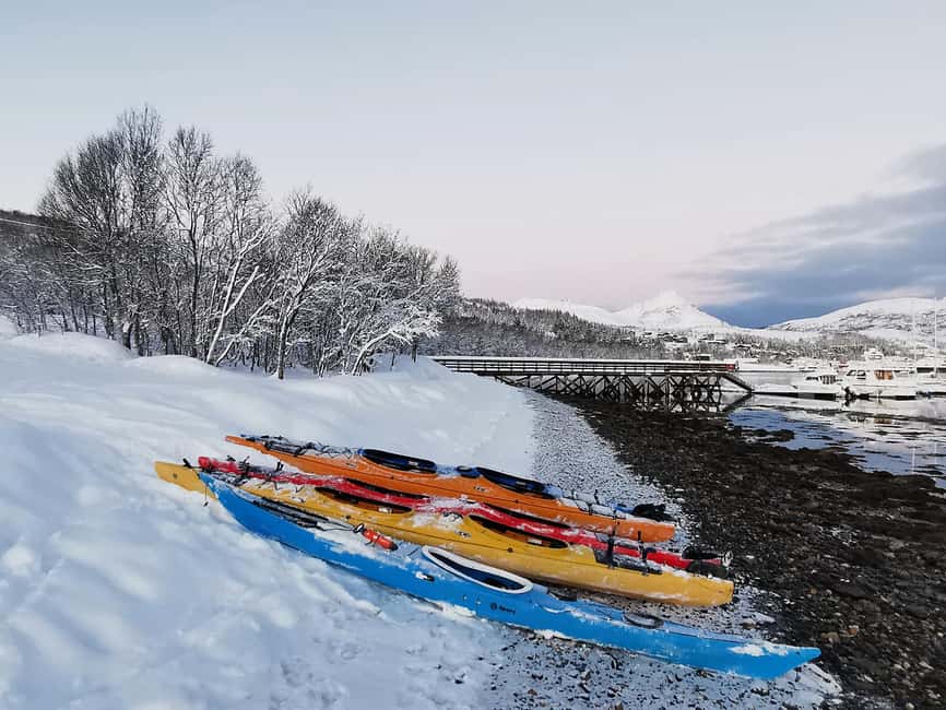 Tromsø: Winter Sea Kayaking Tour with Wildlife Sightings - Gear and comfort reality check: the cold factor