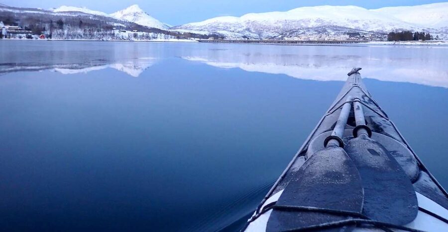 Tromsø: Winter Sea Kayaking Tour with Wildlife Sightings - Price and value: is $225 per person worth it?