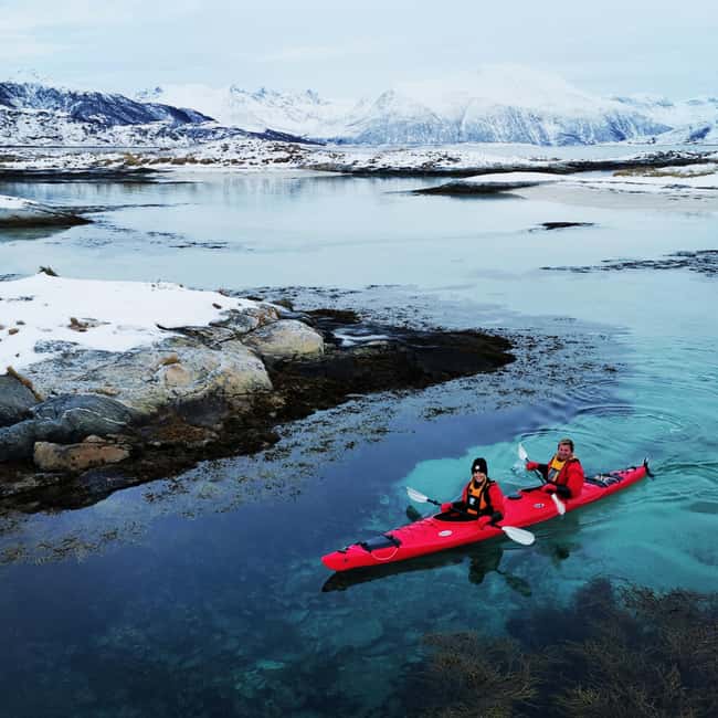 Tromsø: Winter Sea Kayaking Tour with Wildlife Sightings - Who should book, and who should skip winter kayaking