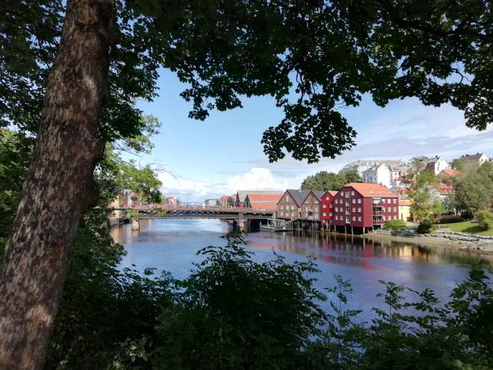 Trondheim : Explore the city of kings with a local guide - Key highlights worth planning around