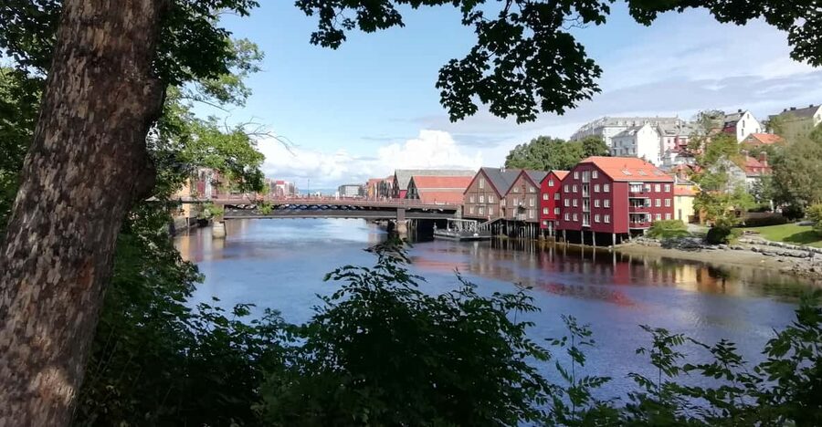 Trondheim : Explore the city of kings with a local guide - Stiftsgården and the Royal Family Summer Residence, Seen From the Street
