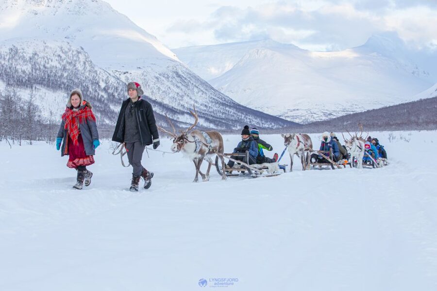 True Locals of the Arctic: Reindeer Sledding at Camp Tamok - Camp arrival: greeting, coffee/tea, and the short transition to the reindeer yard