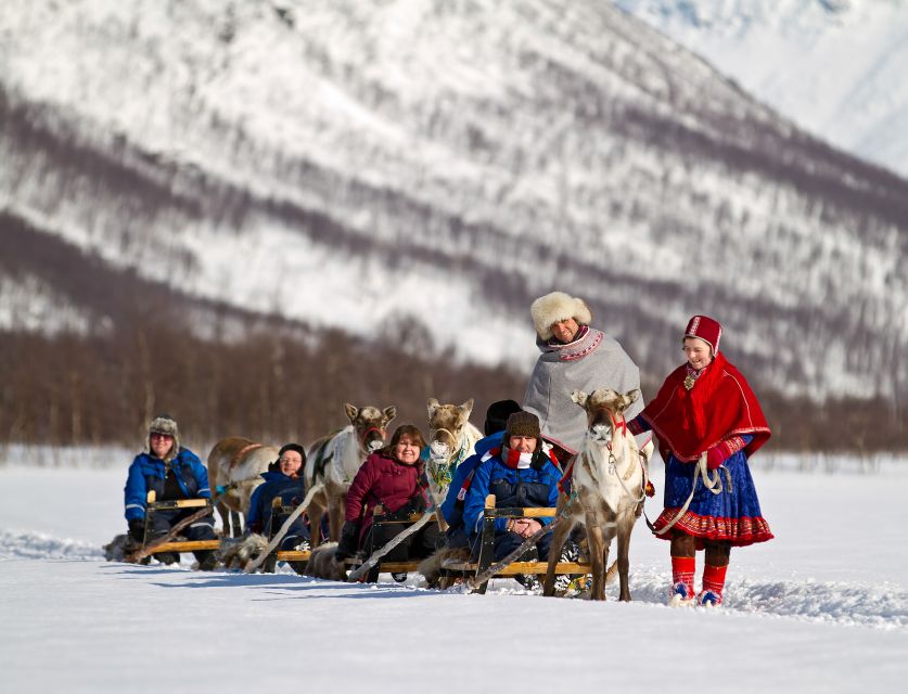 True Locals of the Arctic: Reindeer Sledding at Camp Tamok - Who this tour suits best, and who should rethink it