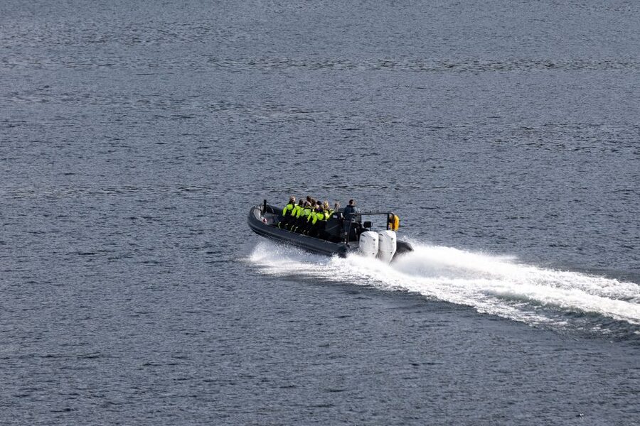 Ulvik: Hardangerfjord Ultimate RIB Tour - Key things to know before you go
