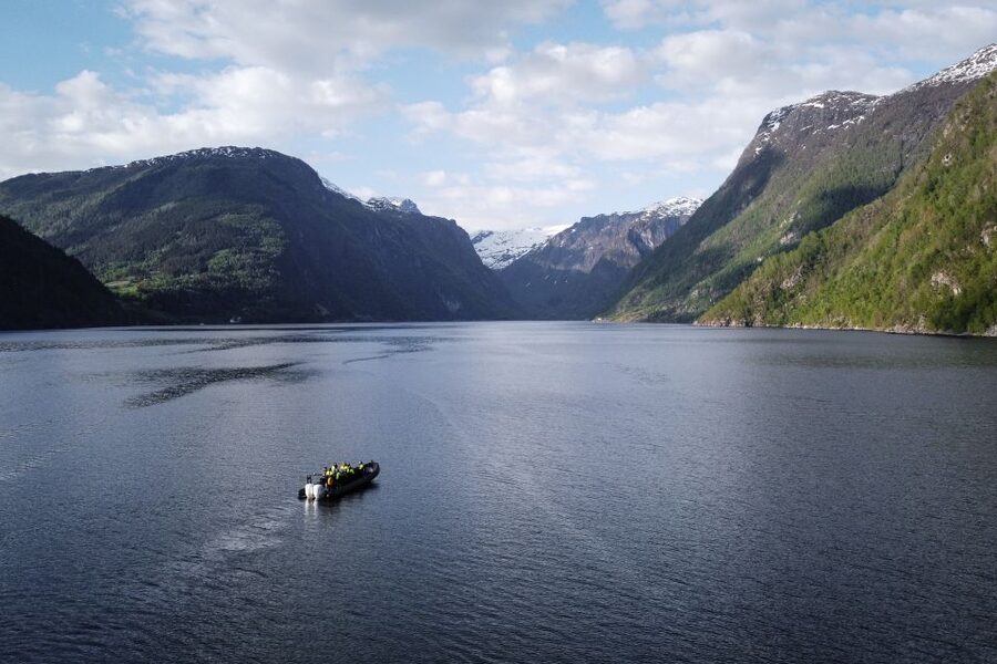 Ulvik: Hardangerfjord Ultimate RIB Tour - Hardanger Bridge cruising, including the under-bridge moment and photo stops