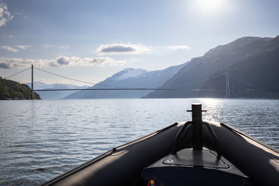 Ulvik: Hardangerfjord Ultimate RIB Tour - Price and value: what $141 buys you in real fjord time